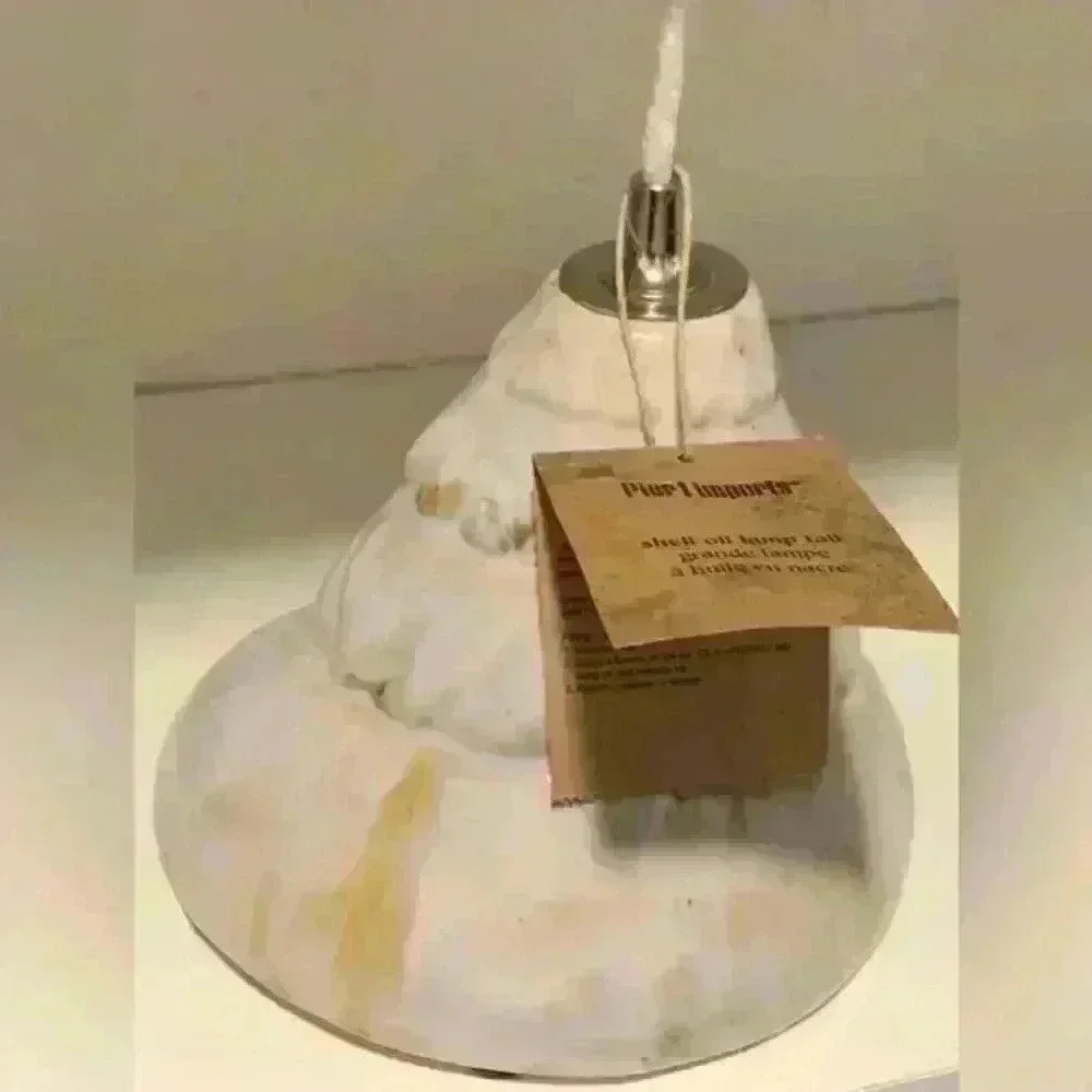 NWT Pier 1 Coastal Shell Oil Lamp‎ Excellent Condition from a Smoke Free Home
